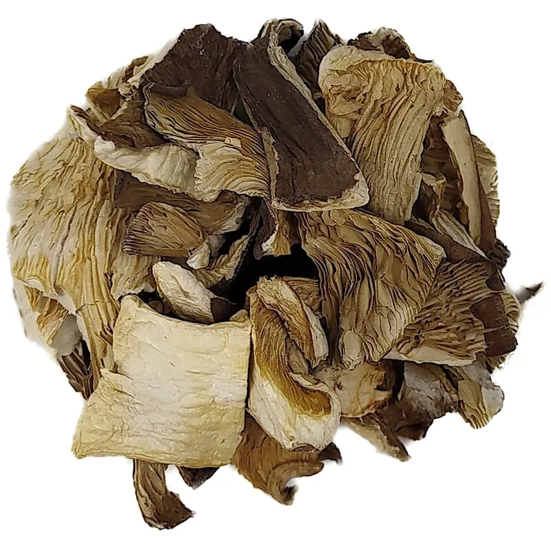 Pleurotes bio