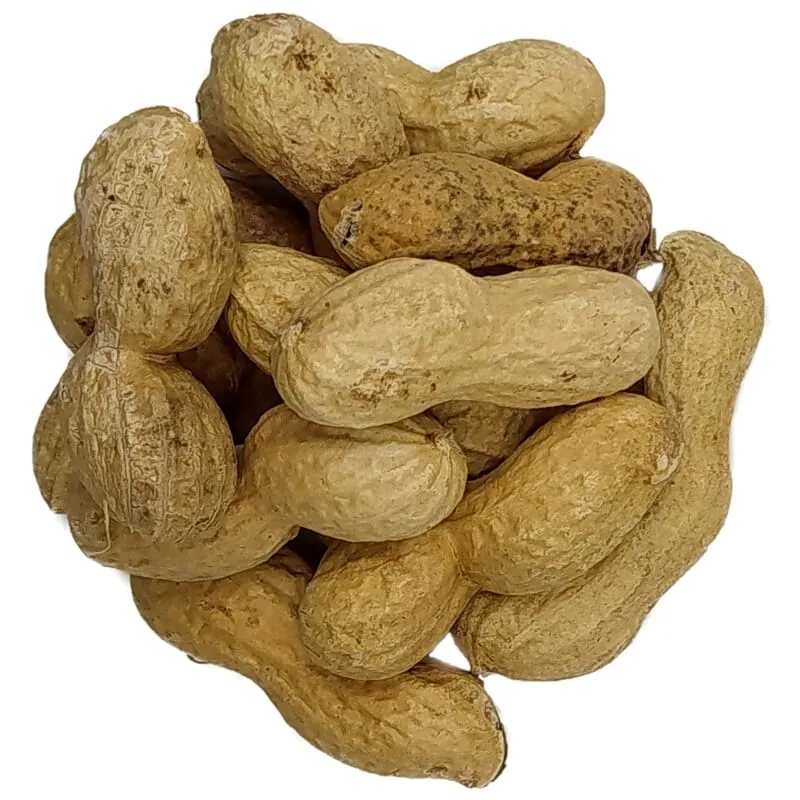 Cacahuètes en coque grillées