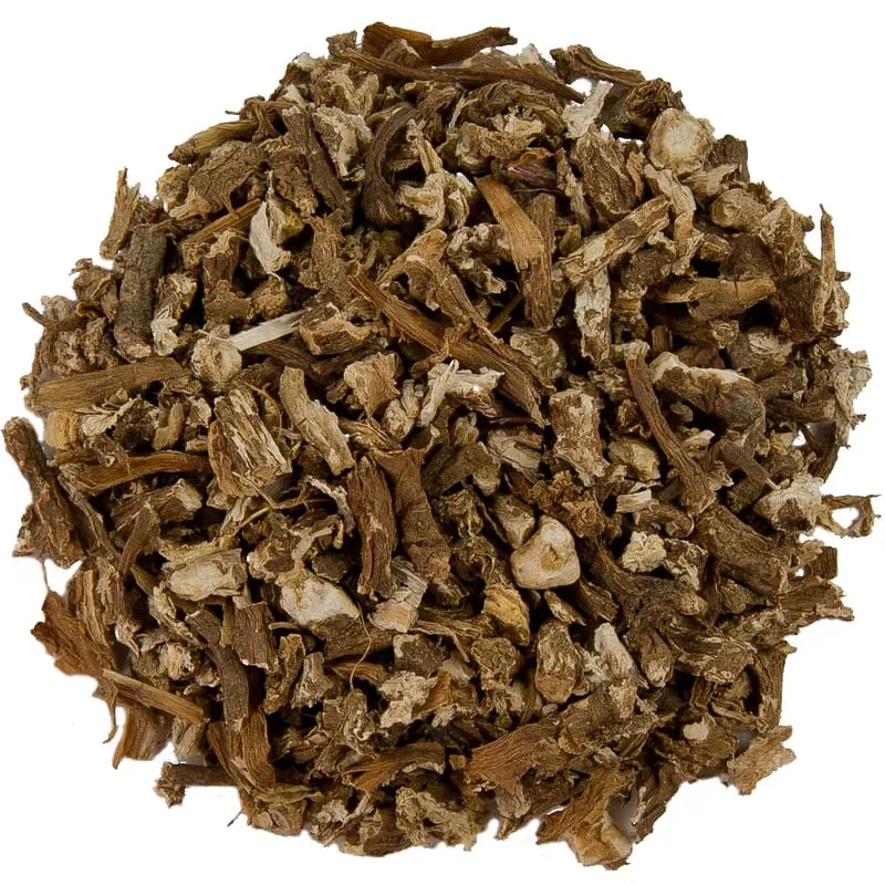 Racine de pissenlit