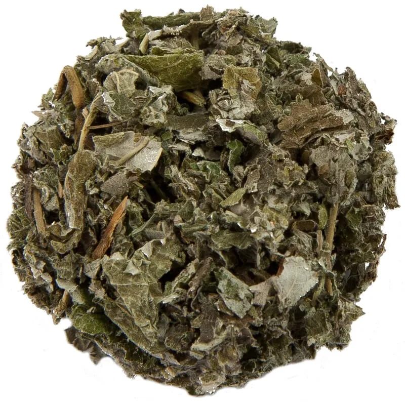 Feuille de framboise