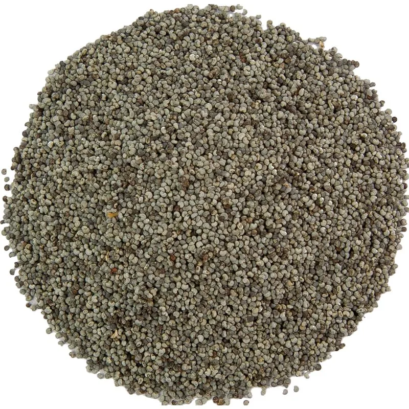 Graine de pavot biologique