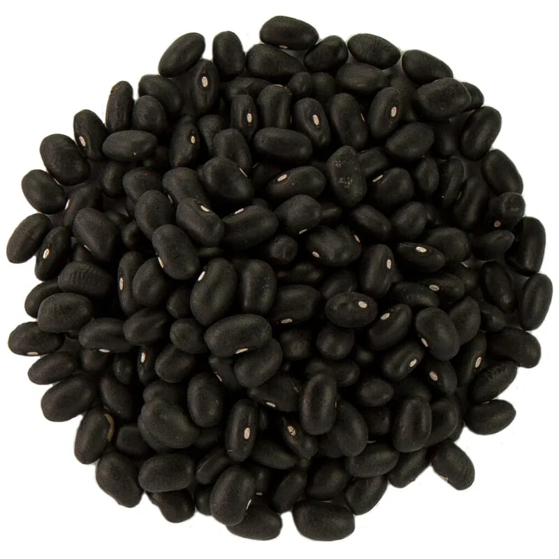 Haricots noirs bio