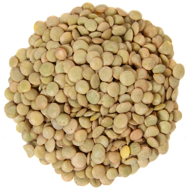 Lentilles vertes biologiques
