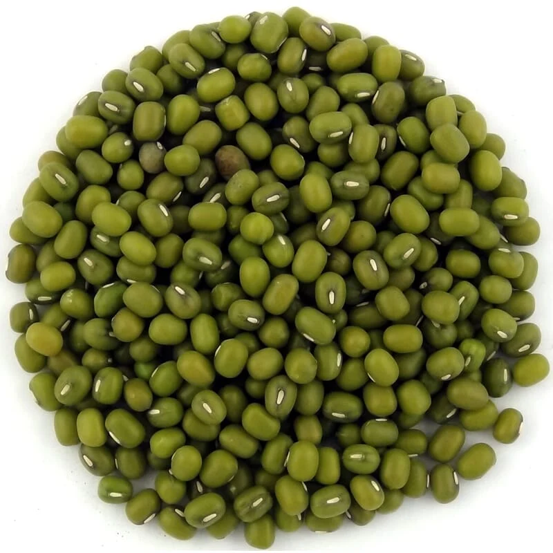 Haricots mungo