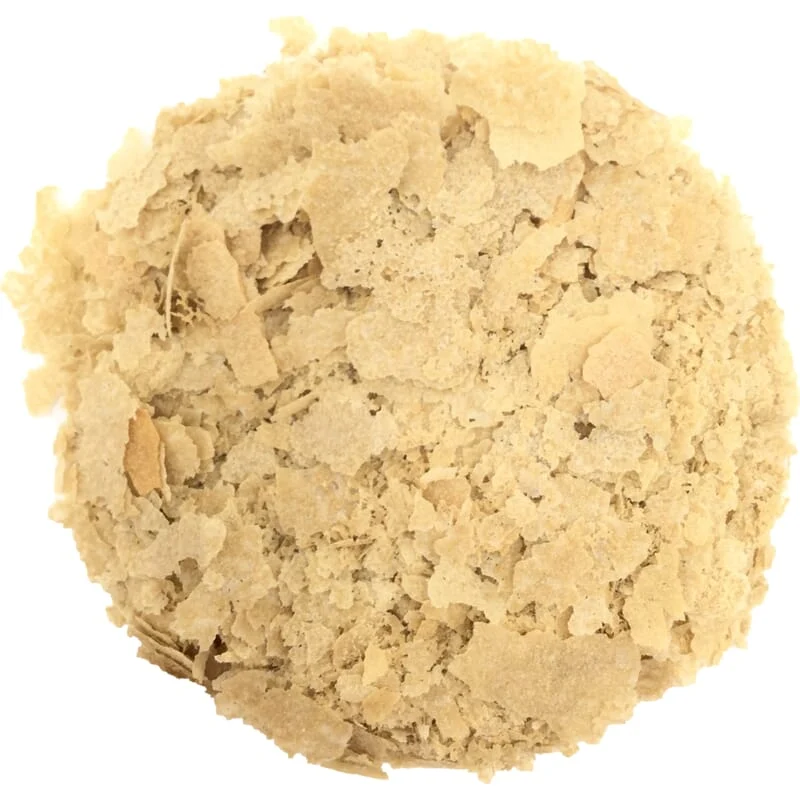Levure nutritionnelle biologique