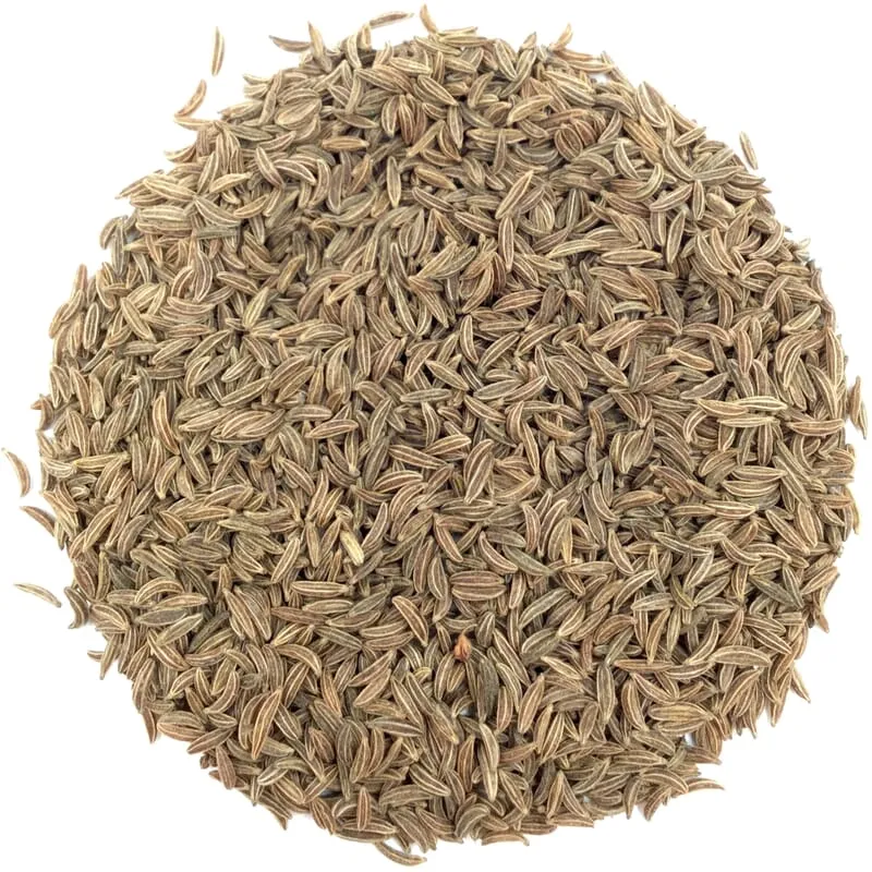 Graines de carvi bio