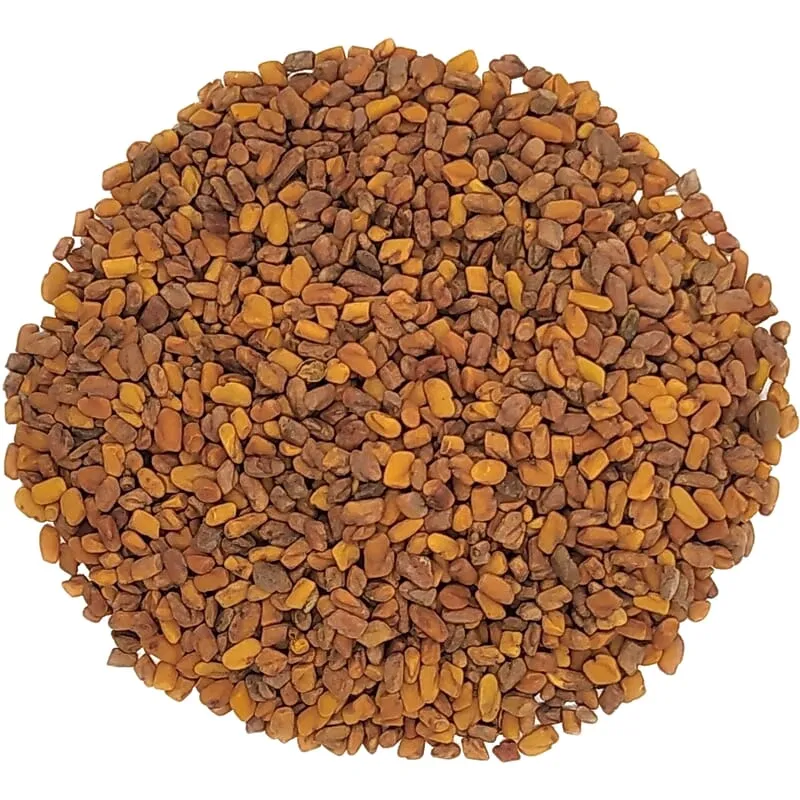 Graines de fenugrec bio