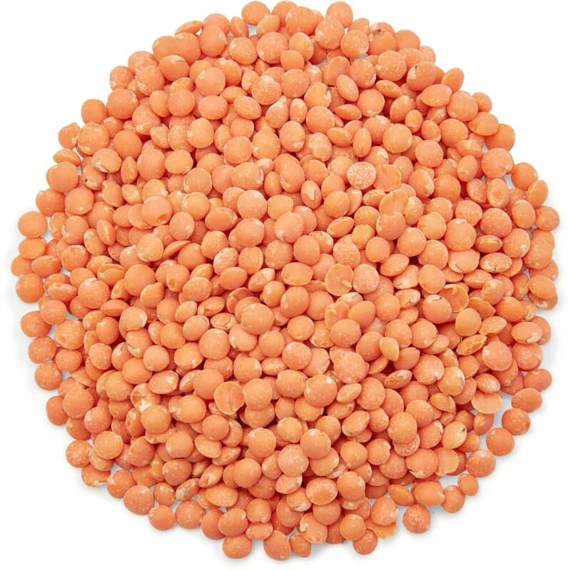 Lentilles rouges bio