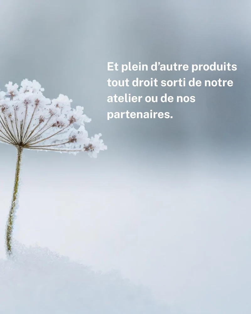 Box du Solstice d'hiver 2026 - Edition limitée