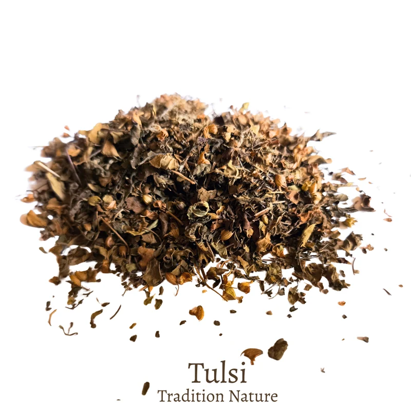 Tulsi tisane | Basilic sacré frotté