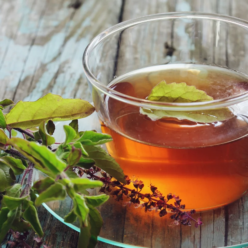 Tulsi tisane | Basilic sacré frotté