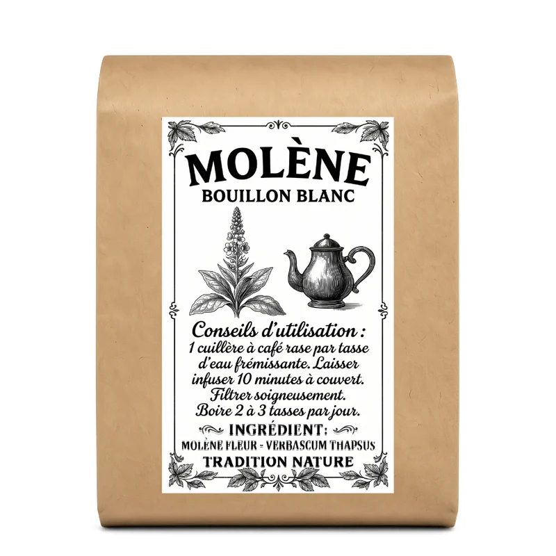 Molène tisane | Bouillon blanc fleurs