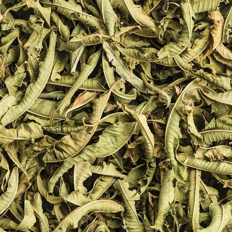 Verveine citronnée | Feuilles entières