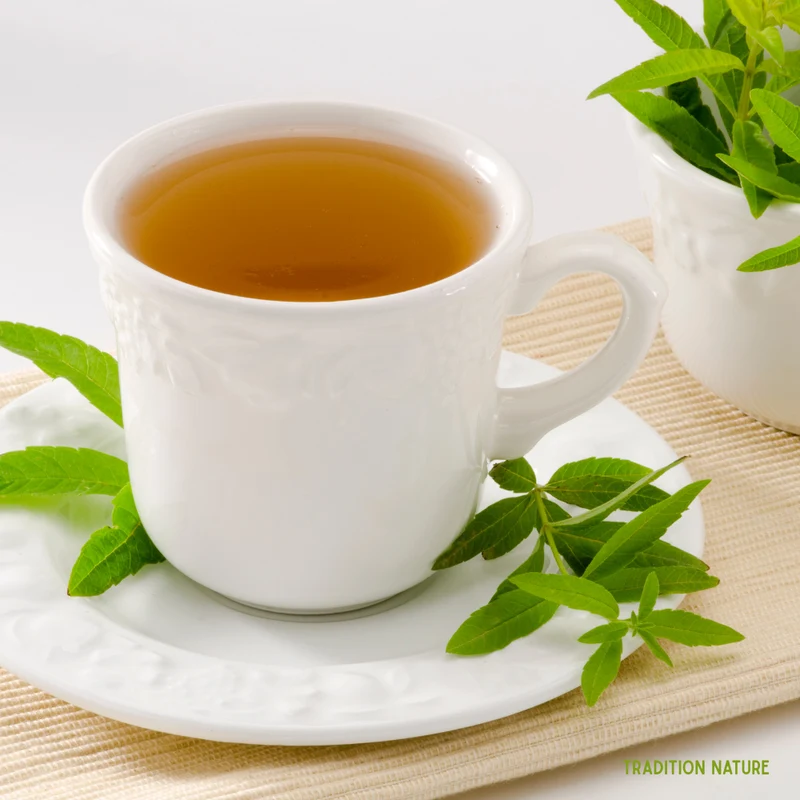 Verveine citronnée | Feuilles entières
