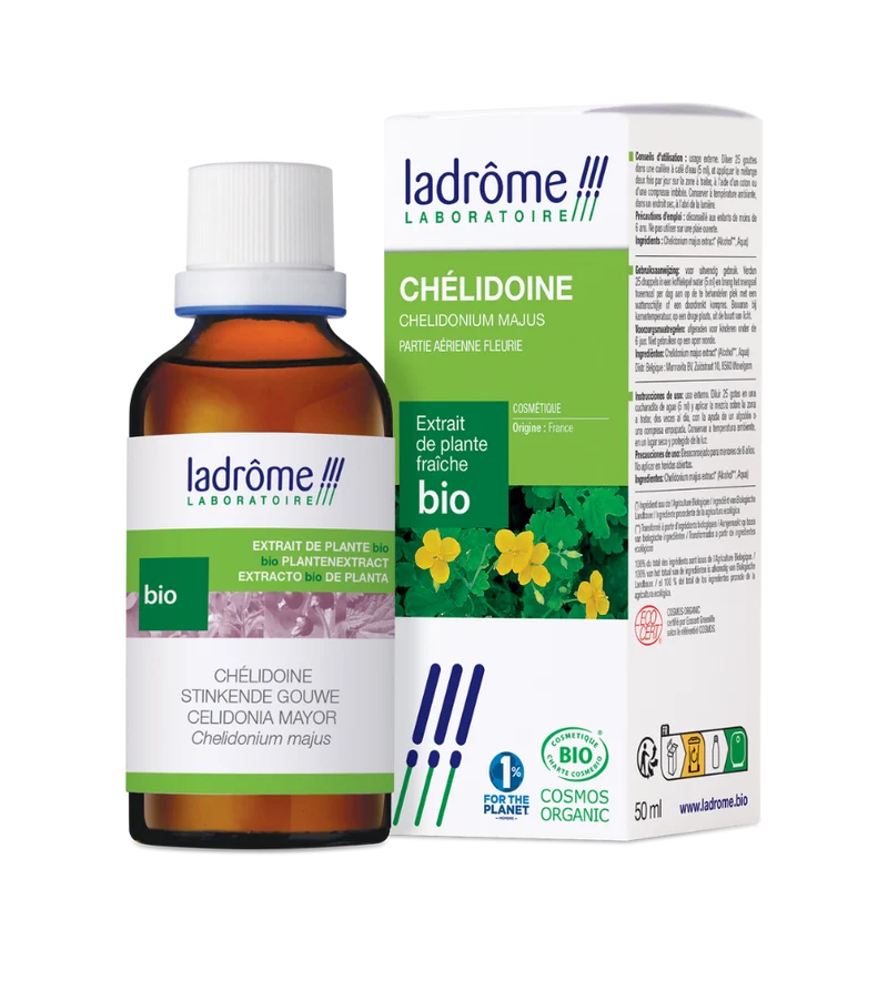 Chélidoine - Extrait bio