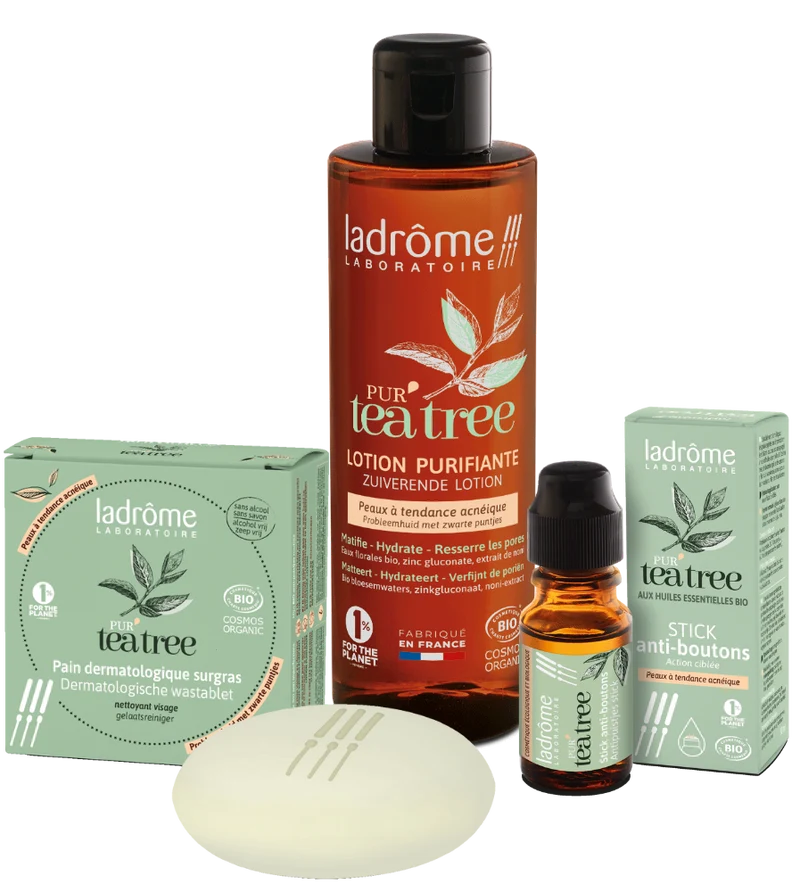 Routine Anti-imperfections PUR'tea tree bio
