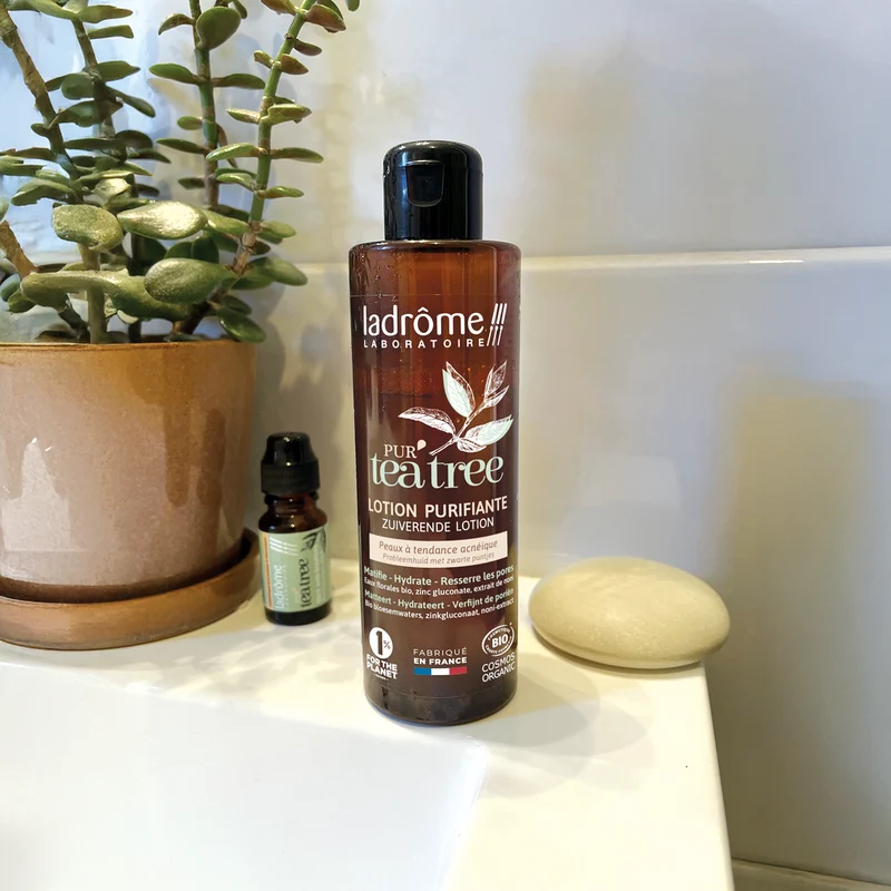 Routine Anti-imperfections PUR'tea tree bio