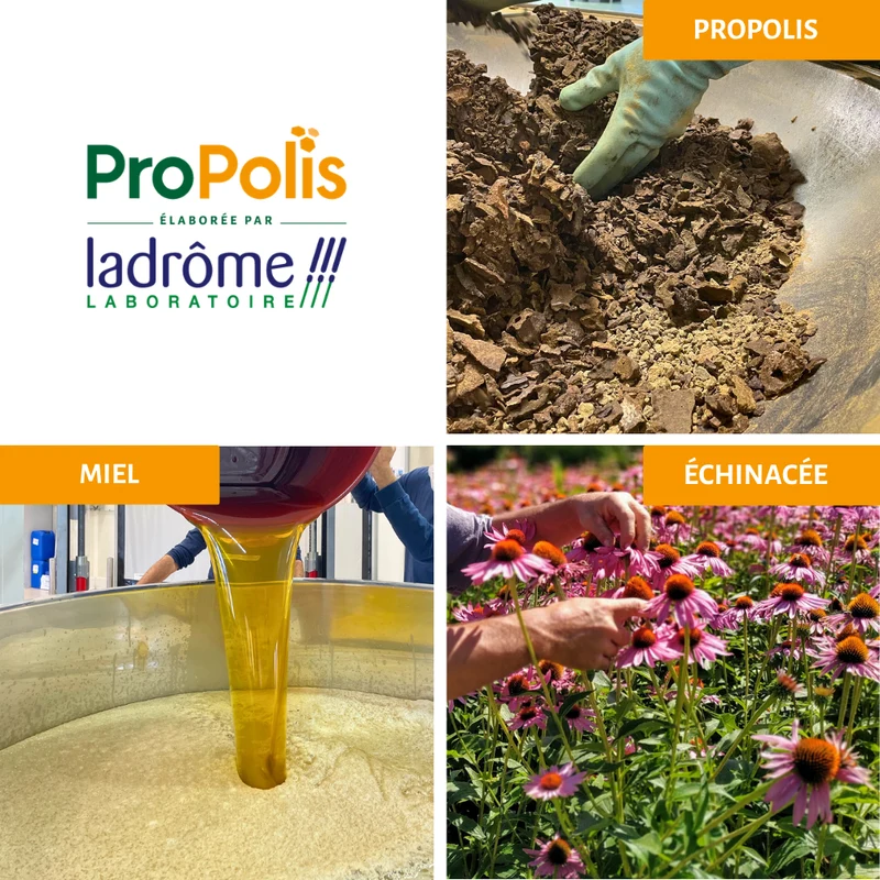 Spray buccal Propolis bio - Gorge apaisée