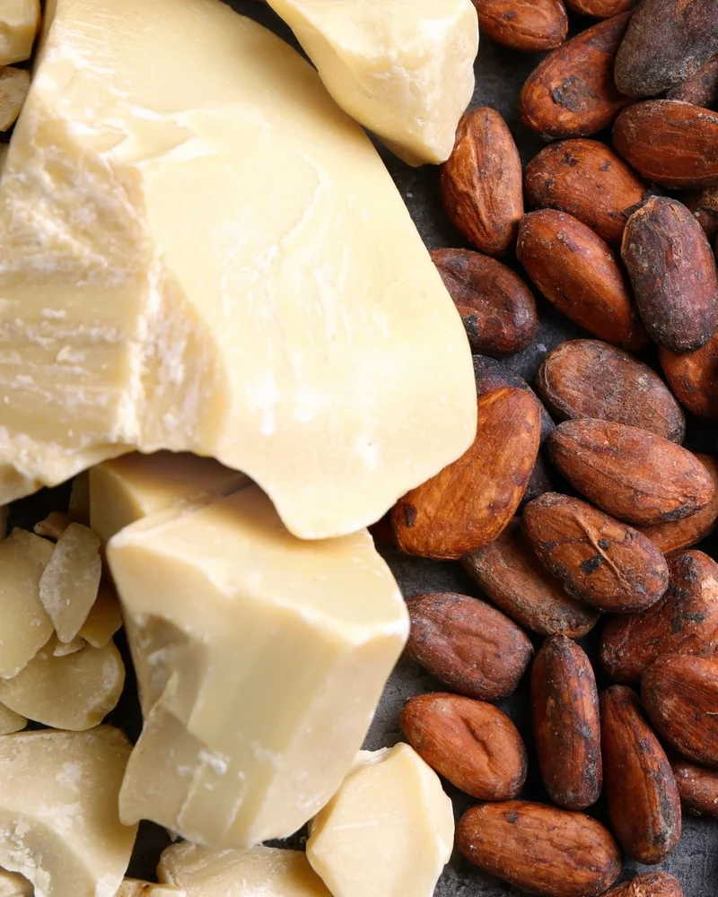 Beurre de cacao bio