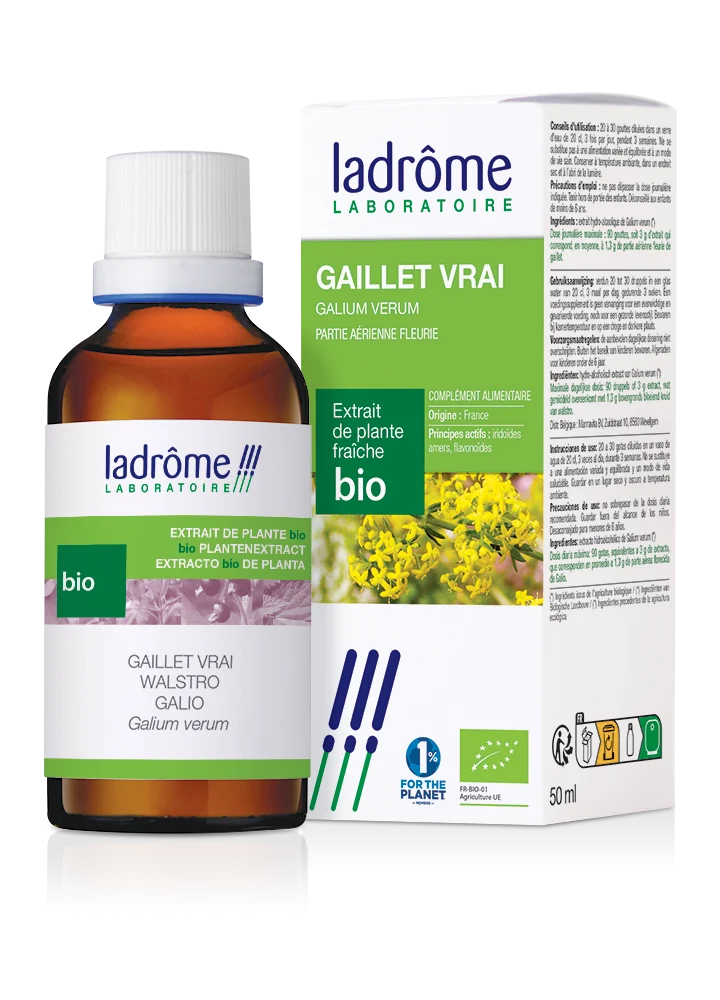 Gaillet vrai - Extrait bio