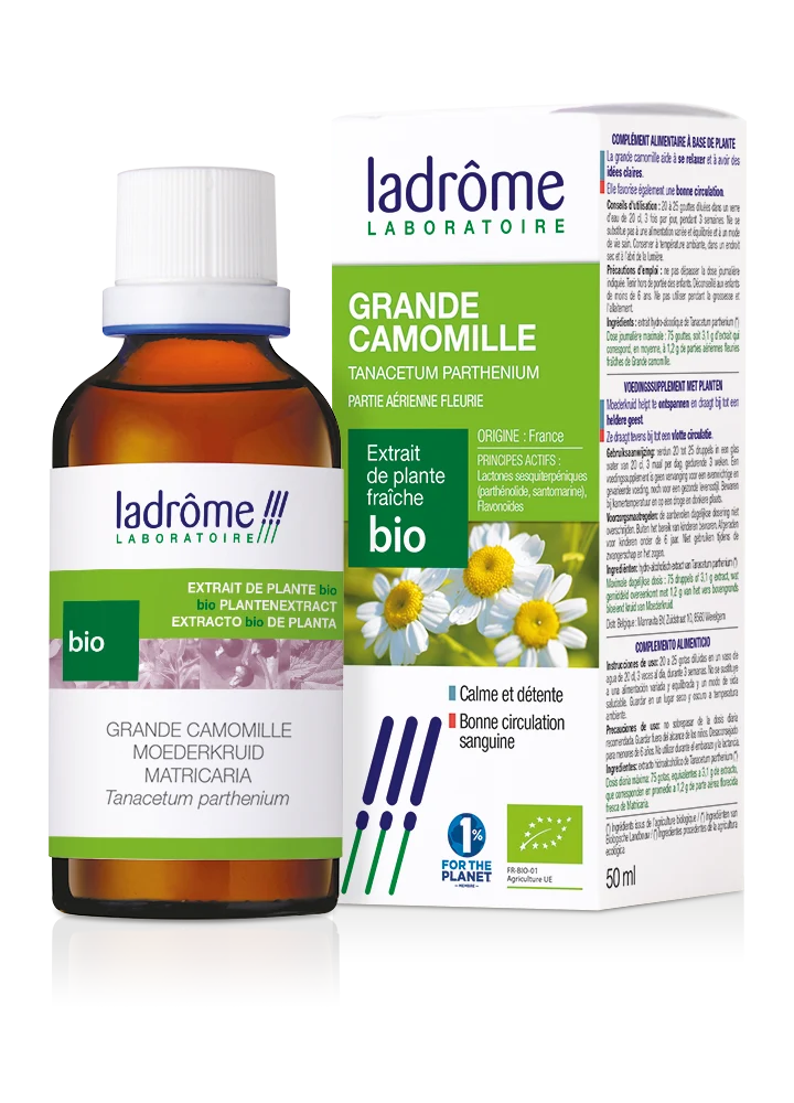 Grande camomille - Extrait bio
