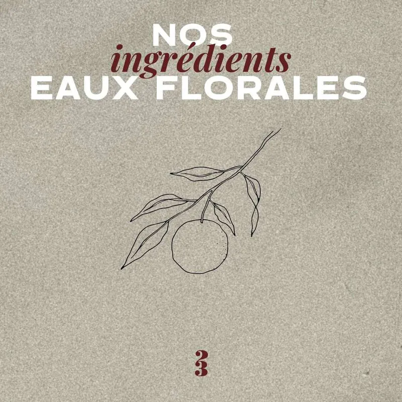 Le Spray Hydratant Désinfectant