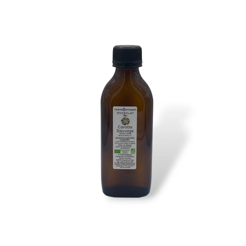 Hydrolat Carotte sauvage Bio 150 ml