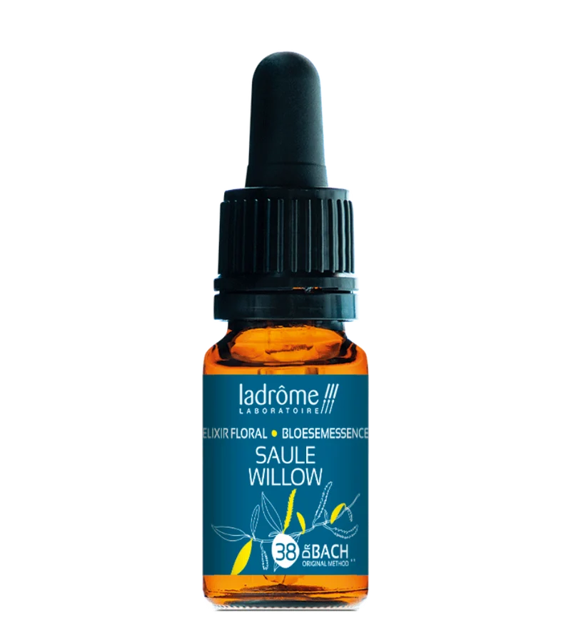 Saule - Fleur de Bach bio