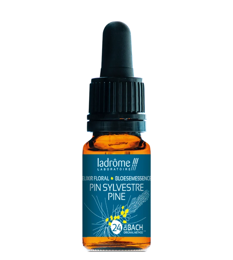 Pin sylvestre - Fleur de Bach bio