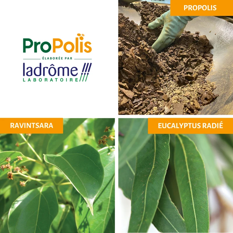 Fyto'Rub Propolis - Baume pectoral bio