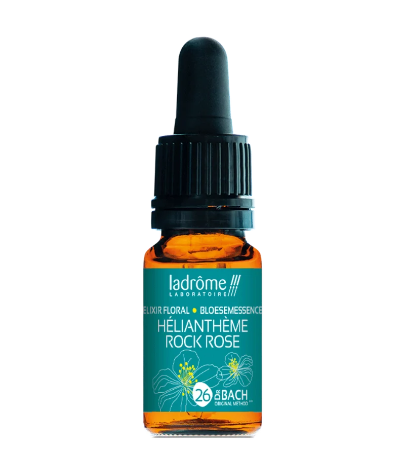 Hélianthème - Fleur de Bach bio