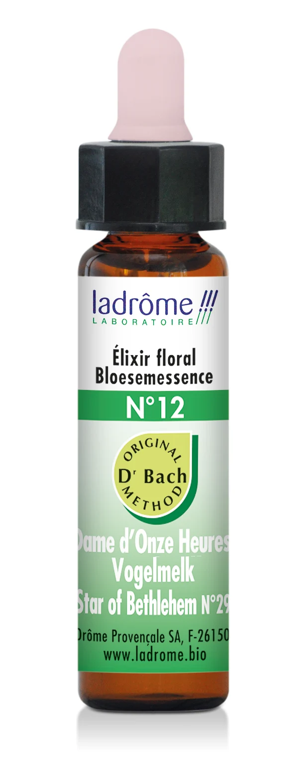 Dame d'onze heures - Fleur de Bach bio