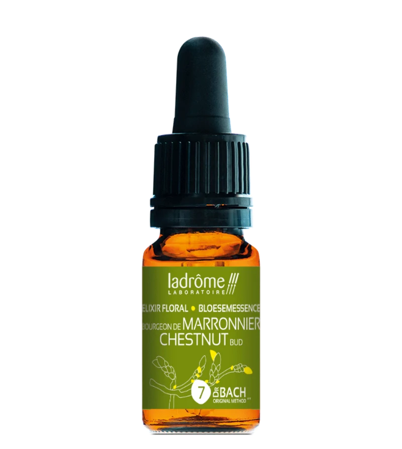 Bourgeons de Marronnier - Fleur de Bach bio