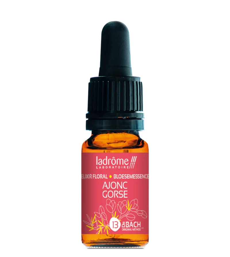 Ajonc - Fleur de Bach bio