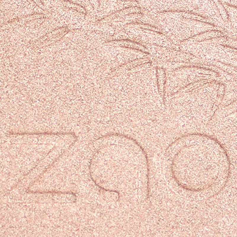 Shine-up Powder