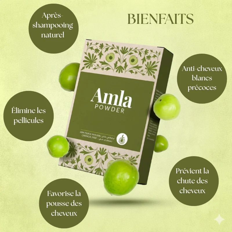 Poudre d’Amla pure 100 g – soin capillaire et visage