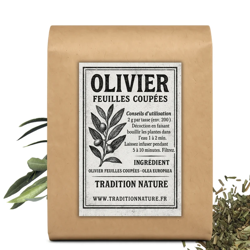 Olivier feuilles coupées | Tisane Olea europaea