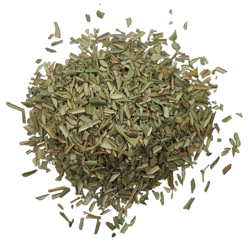 Olivier feuilles coupées | Tisane Olea europaea