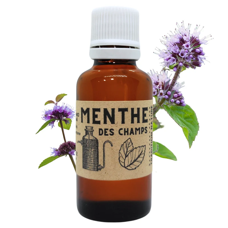 Huile essentielle de Menthe des champs