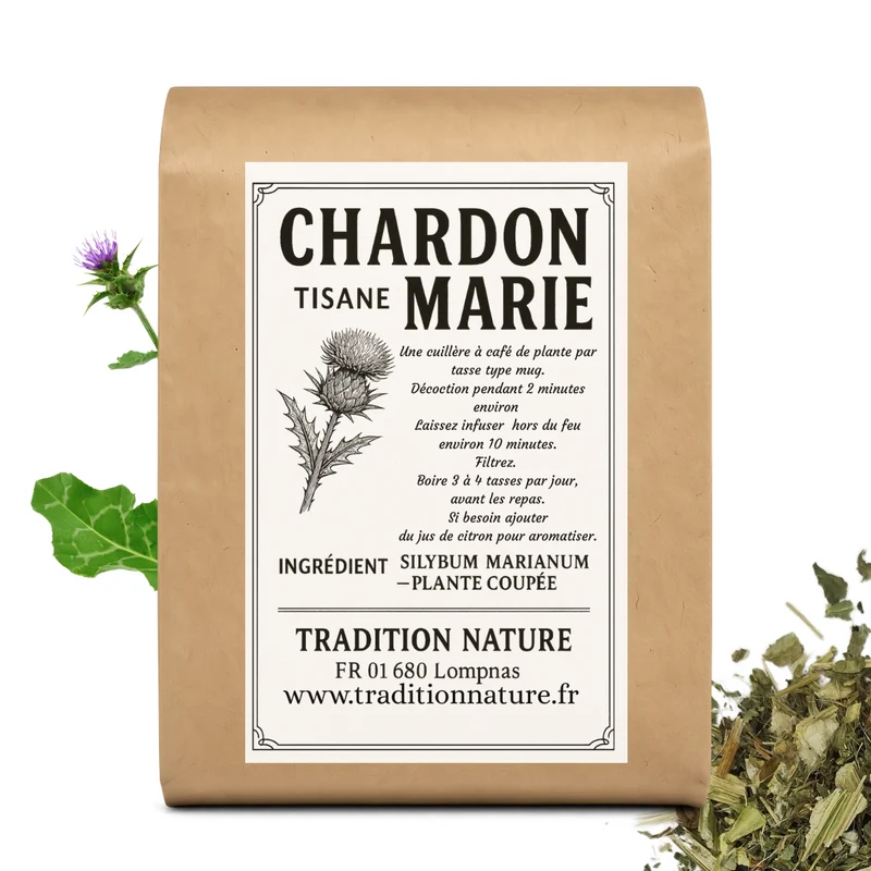Chardon Marie tisane - Plante coupée (Silybum marianum)