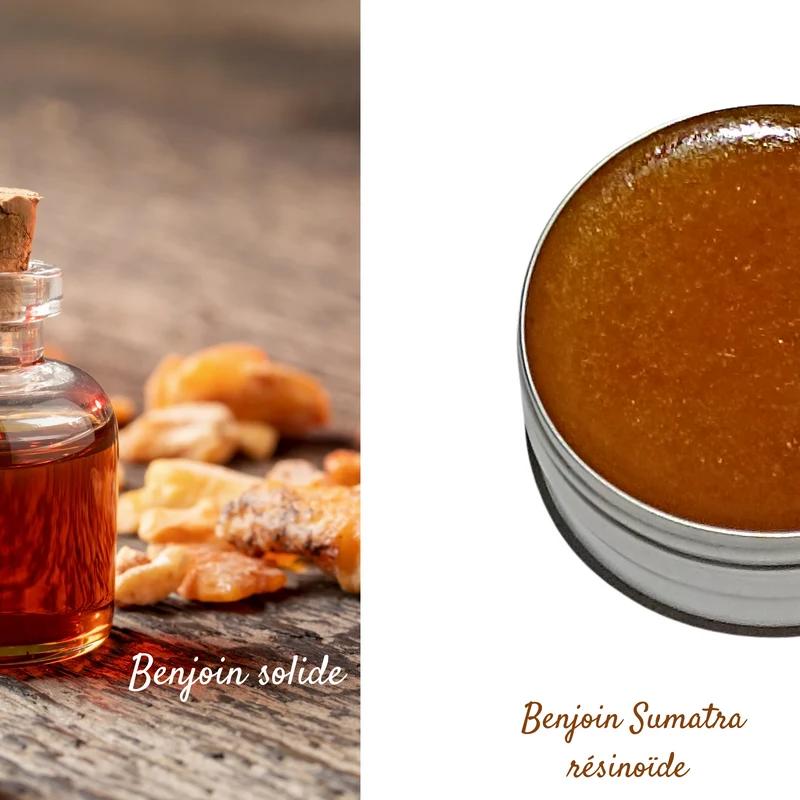 Benjoin Sumatra résinoïde pot 15 g