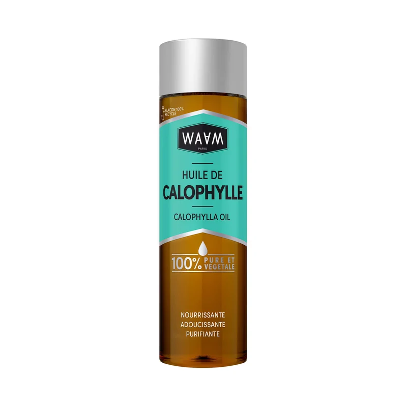 Huile de Calophylle