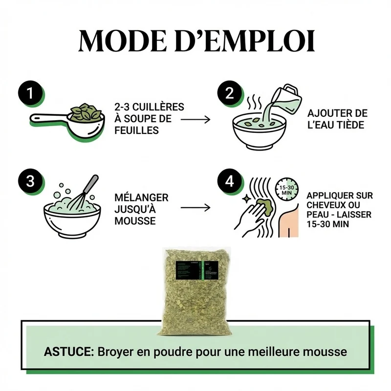 20Kg Feuille de Sidr (Jujubier) Naturelle