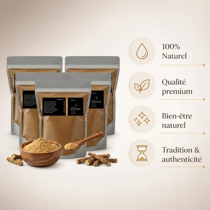 20 kg Costus Indien en Poudre 100% Naturel (Origine Inde) — Emballage 1 kg x20