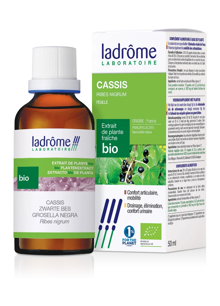 Cassis - Extrait bio