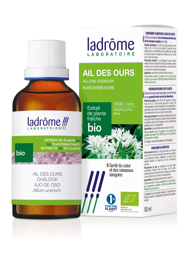 Ail des ours - Extrait bio