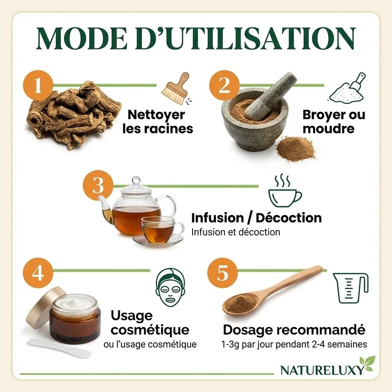 Costus Indien Brut 1 kg 100% Naturel – Racines entières – Usage interne (infusion/décoction) & externe – Format 1kg