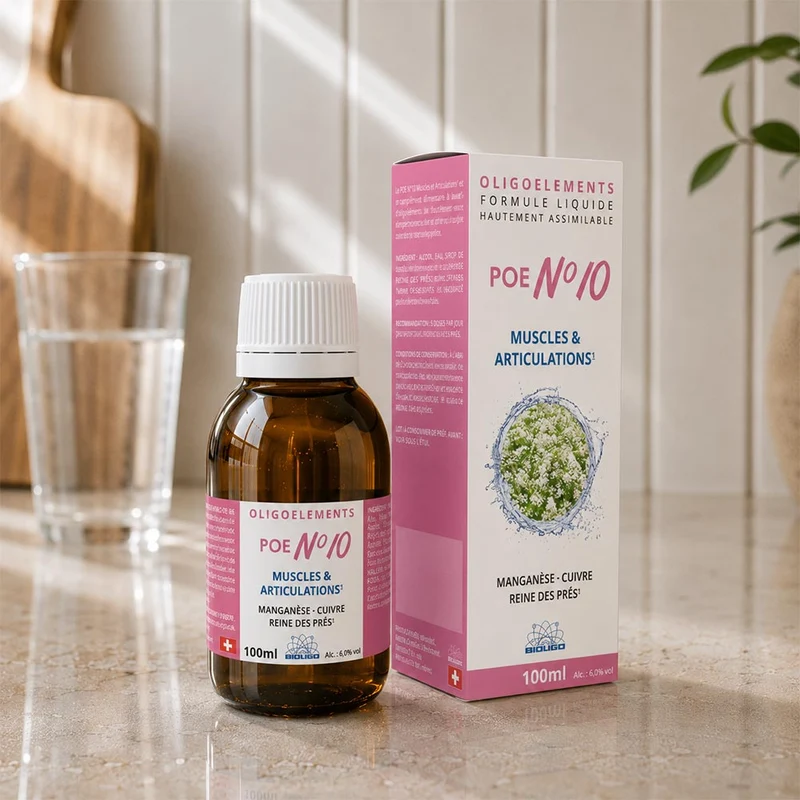 POE N°10 – Muscles & Articulations