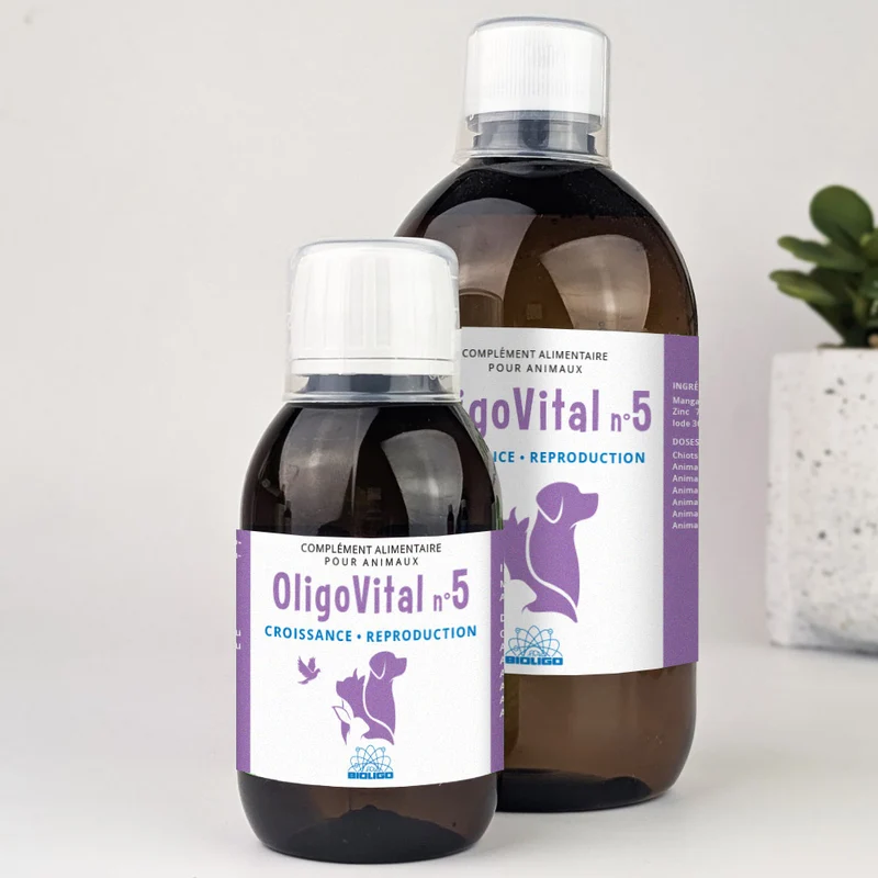 OLIGOVITAL N°5 - Reproduction