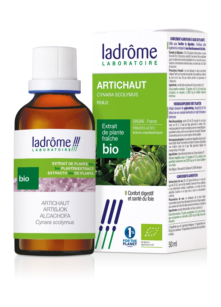 Artichaut - Extrait bio